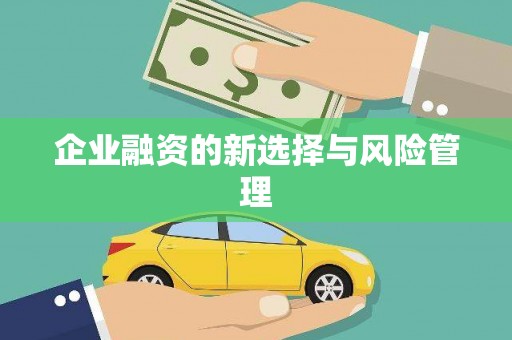 铁山企业融资的新选择与风险管理