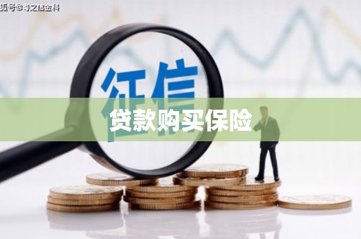 铁山贷款购买保险