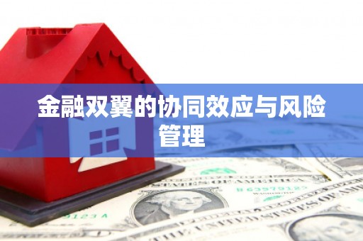 铁山金融双翼的协同效应与风险管理