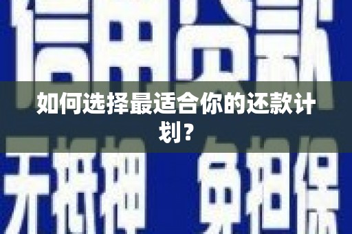 铁山如何选择最适合你的还款计划？